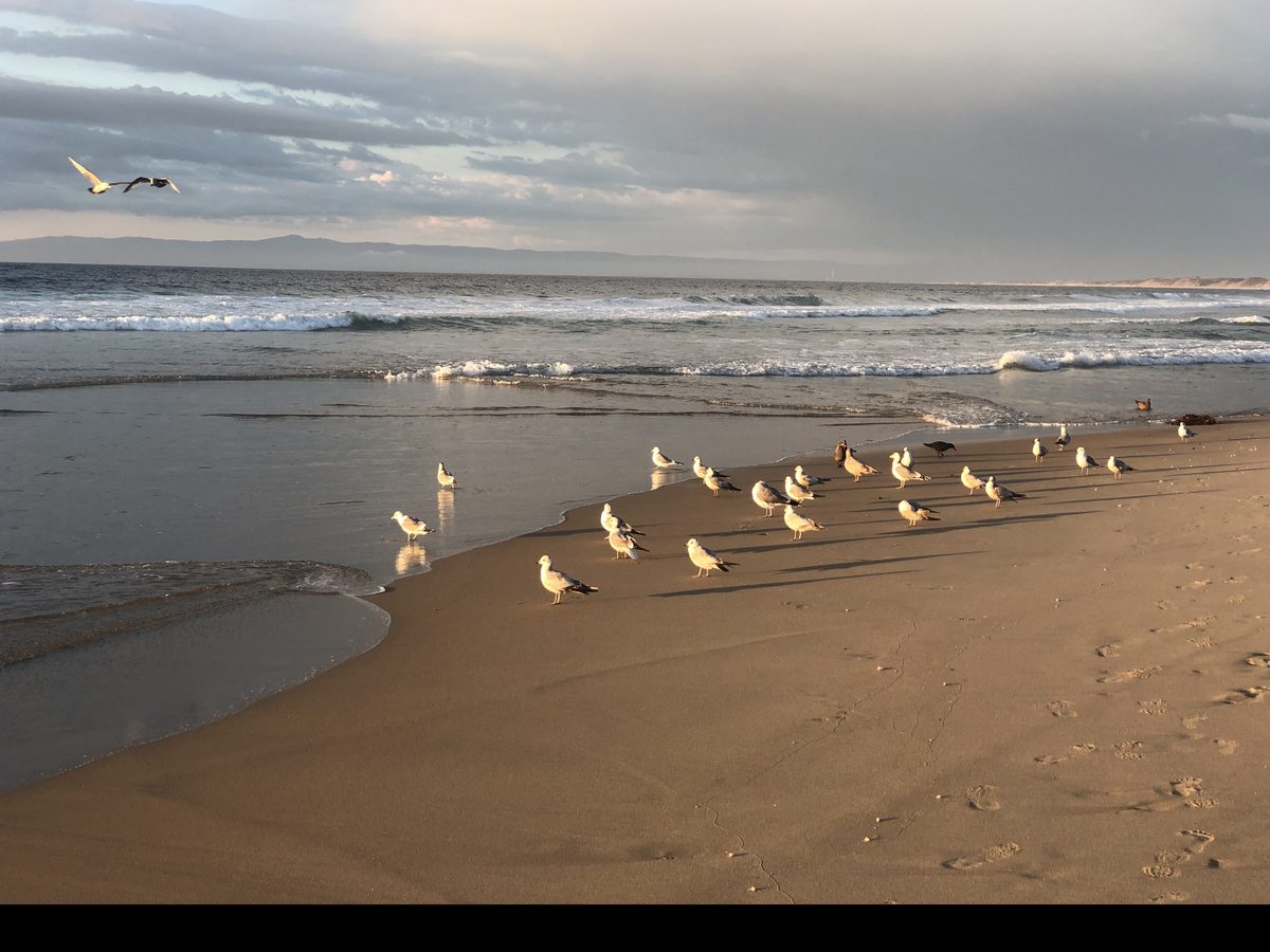 The beach at dusk, near our Carmel office