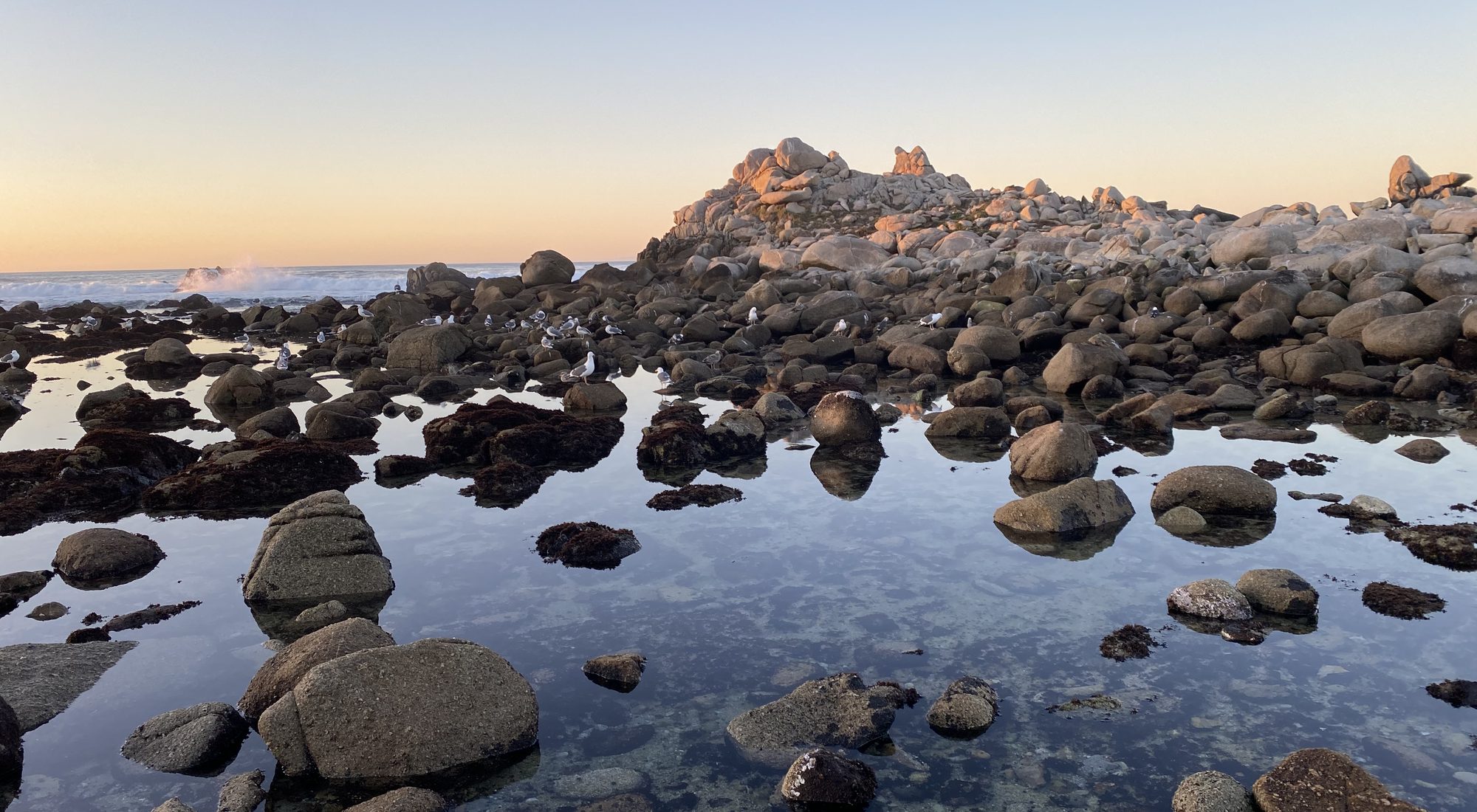 Tide pools at sunset, Pacific Grove
